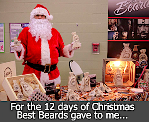 For the 12 days of Christmas best beards gave to me.